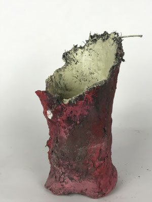 VASO 1 TC