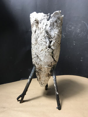 PANDORA 1