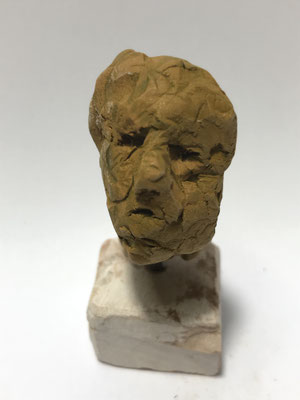 Volto 14 € 150,00