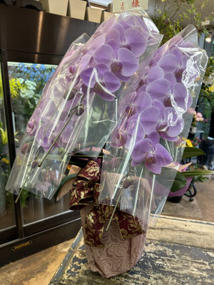 ￥19.800