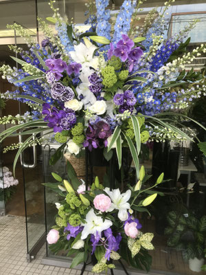￥33.000