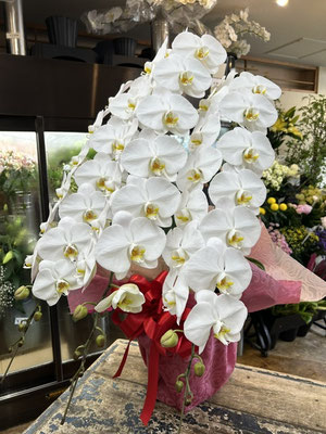 ￥28.600