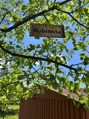.. hier wächst "Rubinola" klick drauf komm zu Rubinola