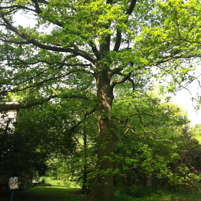 InspirAre retreat Center, bei Bremen