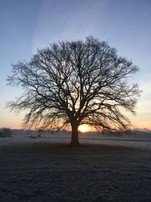 InspirAre retreat Center, bei Bremen