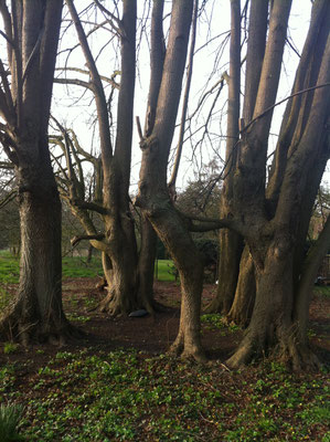 InspirAre retreat Center, bei Bremen