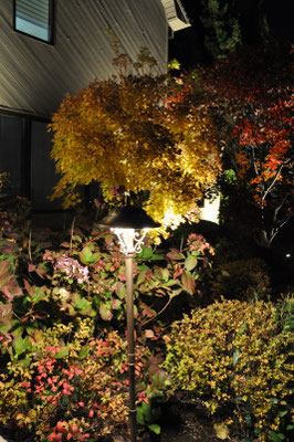 Elevating a Path light ,with an extension riser, allows it to illuminate the colorful surrounding flora.