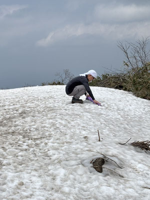 山頂に残ろ大雪渓でタオルを冷やす