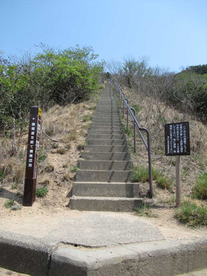 こんな階段登ります。 ひえ~ 先が見えない