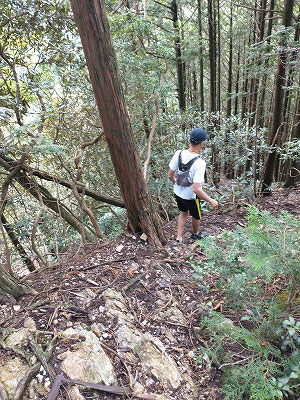 竜ヶ岳から龍の小屋へのアドベンチャーコースの始まり。