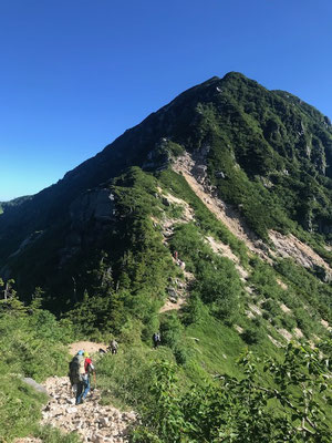 越中沢岳を目指します