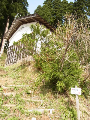 ここが登山口