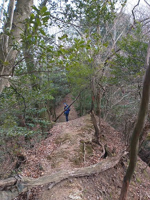 ＮＴＴ中継所から白石神社分岐に向かう道。