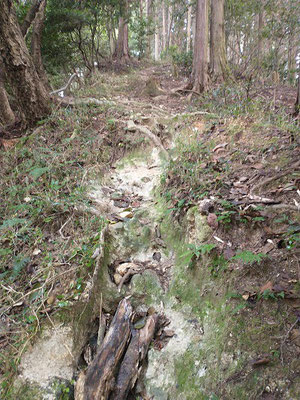 登山道は崩れかけているところもありますが、表示もありわかりやすいです。風が全く通らず蒸し暑かったです。