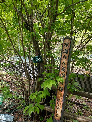 「山門水源の森を次の世代に引き継ぐ会」の方々によって整備されています。2023年に環境省「自然共生サイト」に認定されています。