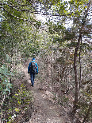北稜コースの登山道です。登山道は明るく、整備されていて気持ちがいいですよ。