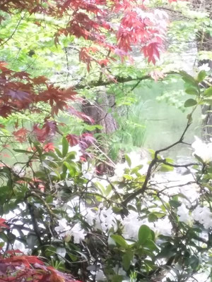 Poesie der Natur 16