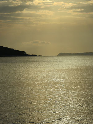 Poesie der Natur 5
