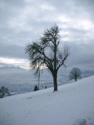 Poesie der Natur 32