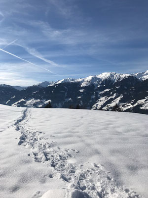 Blick auf die Berge und ins Tal