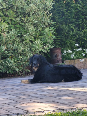 Mein Revier, immer im Blick