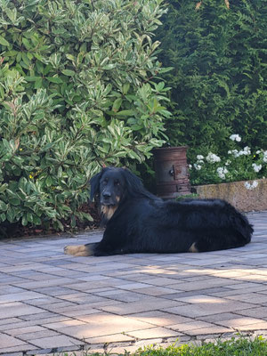 Mein Revier, immer im Blick