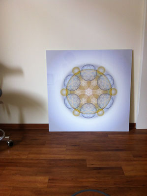 Lebendiges Mandala aus der ELEMENT LINE in Geschäftsräumen, Echtfoto hinter Acylglas, 90 x 90 cm. © Susanne Barth
