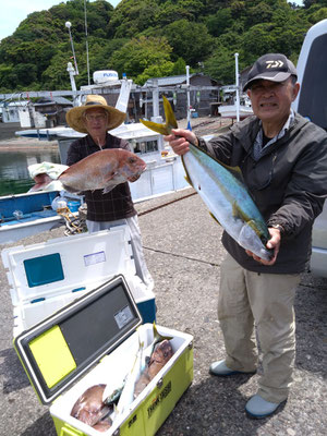 完全ふかせ釣り　5月12日午前便　ヒラマサ3本、ワラサ2本、真鯛74ｃｍまで10枚、チダイ2枚