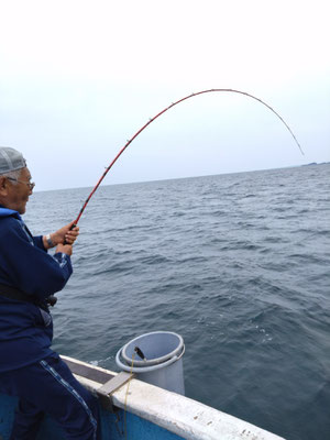 完全ふかせ釣り　5月13日午後便　ヒラマサ2本、ワラサ3本、真鯛7枚など