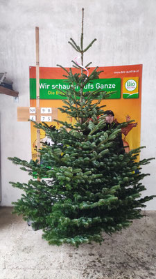 Bio-Christbaum Nr. 98, € 75.-