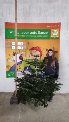 Bio-Christbaum Nr. 28, € 48.-