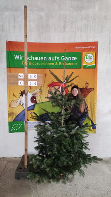 Bio-Christbaum Nr. 50, € 54.-