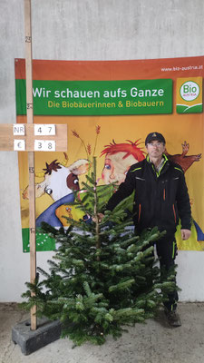Bio-Christbaum Nr. 47, € 38.-