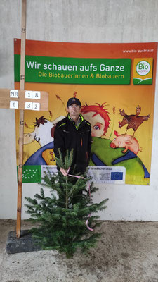 Bio-Christbaum Nr. 18, € 32.-
