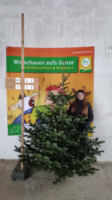 Bio-Christbaum Nr. 53, € 53.-