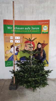 Bio-Christbaum Nr. 55, € 48.-