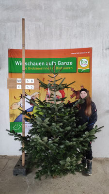 Bio-Christbaum Nr. 58, € 55.-