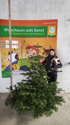 Bio-Christbaum Nr. 31, € 44.-