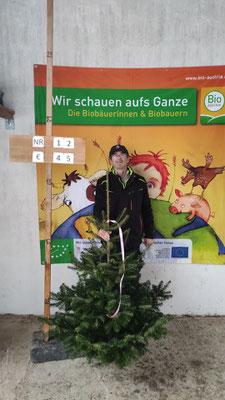 Bio-Christbaum Nr. 12, € 45.-