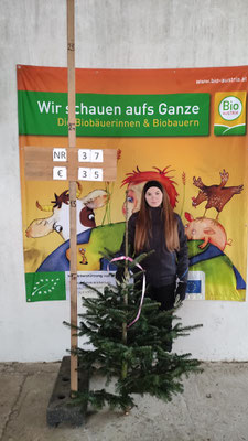 Bio-Christbaum Nr. 37, € 35.-