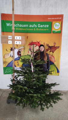 Bio-Christbaum Nr. 34, € 45.-