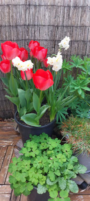 5 april