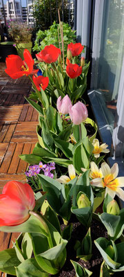 5 april