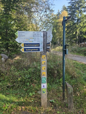 --- auf gehts auf dem Holsteg durchs Moor