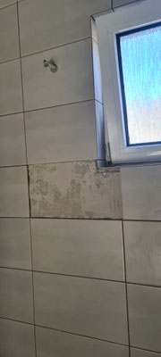 BTK Tegelzetters Venlo - tegel vervangen badkamer te Reuver