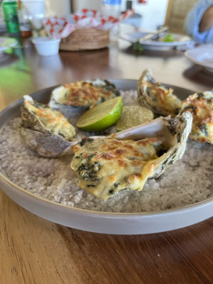 Best oysters in cancun