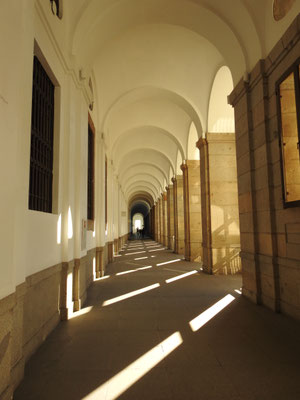 Museo Reina Sofia, Gang