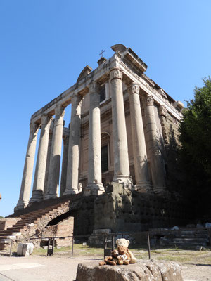Wir - Kasimir, Cäsar, Fredi und Kerl - vor dem Tempel des Antoninus Pius und der Faustina