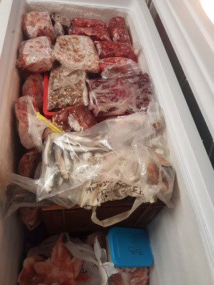 Fleisch für 1 Monat