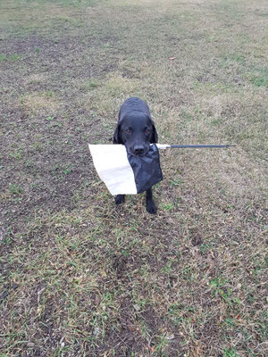 Clark bei der Arbeit